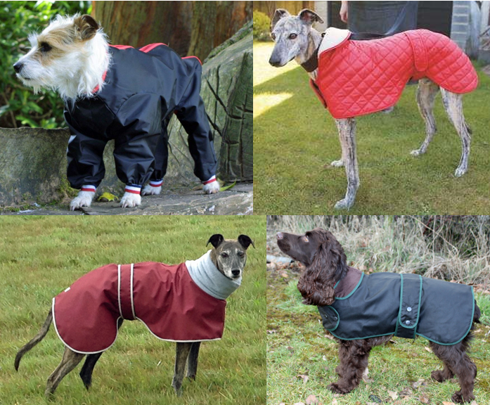 Dog coat season is upon us!